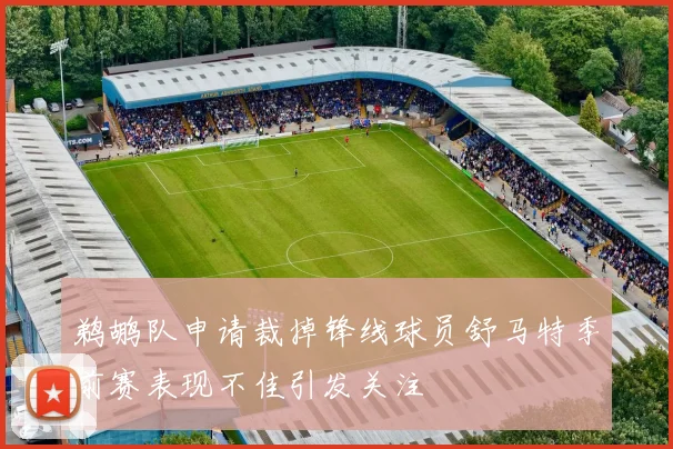鹈鹕队申请裁掉锋线球员舒马特季前赛表现不佳引发关注