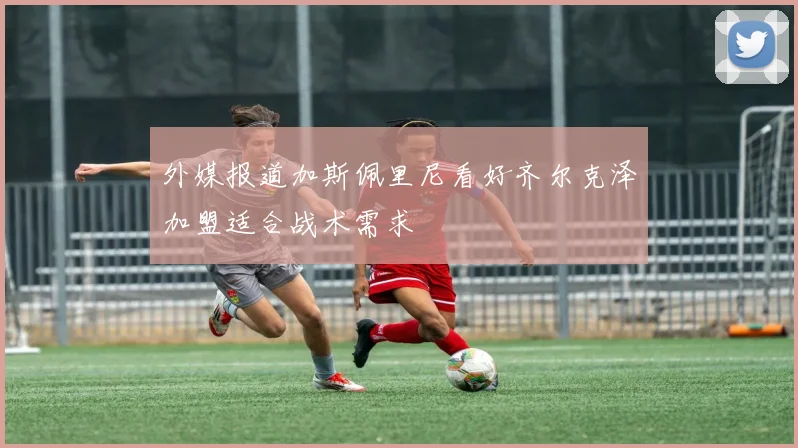 外媒报道加斯佩里尼看好齐尔克泽加盟适合战术需求
