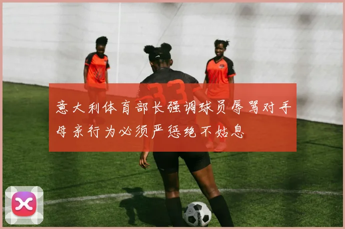 意大利体育部长强调球员辱骂对手母亲行为必须严惩绝不姑息